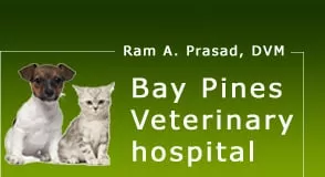 Bay Pines Veterinary Hospital, Florida, St. Petersburg